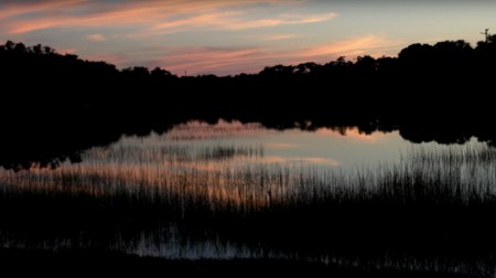 Photograph of Concord landscape