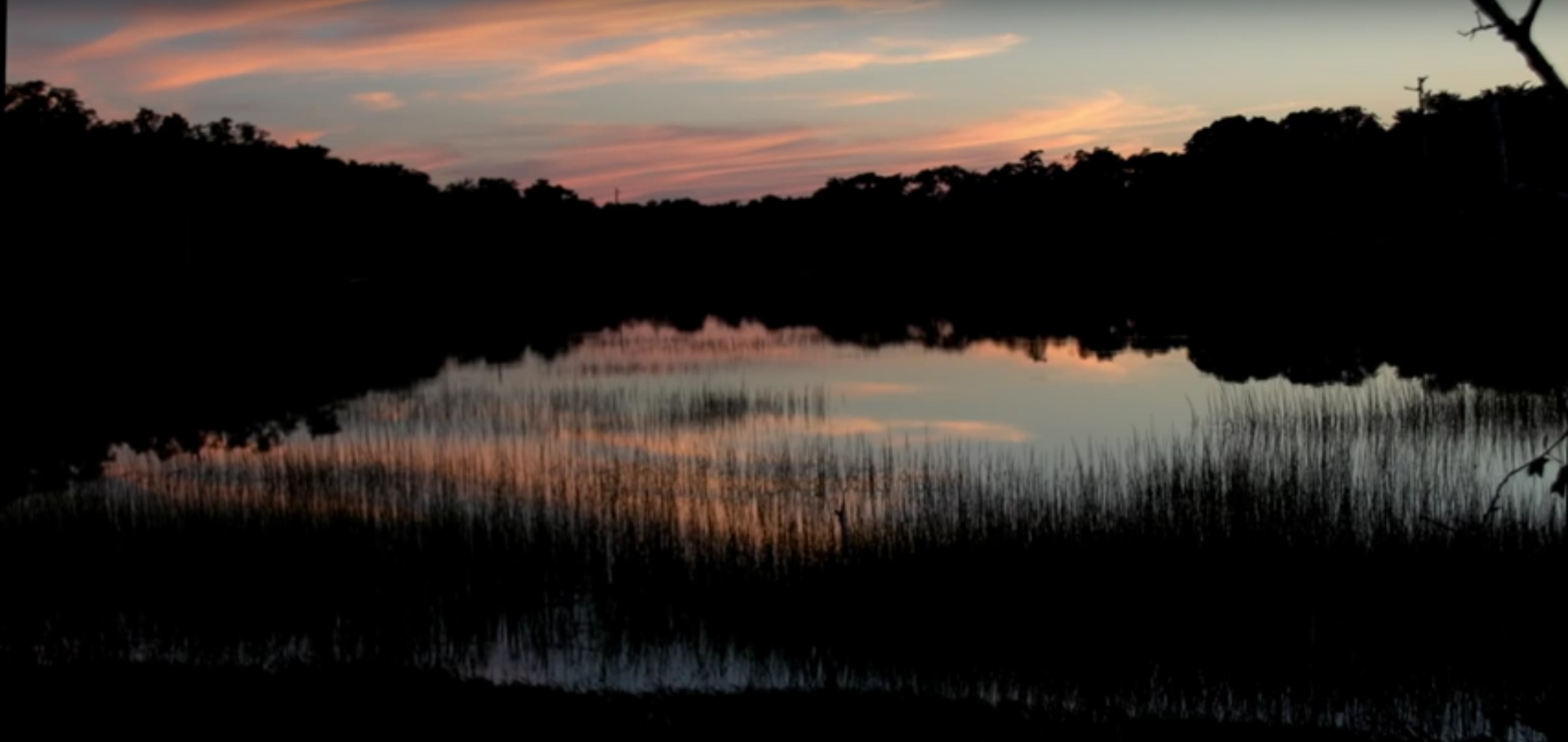 Photograph of Concord landscape