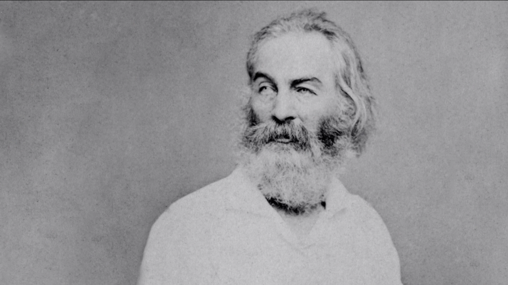 the wound-dresser line by line analysis The Wound-Dresser by Walt Whitman  Literary Analysis