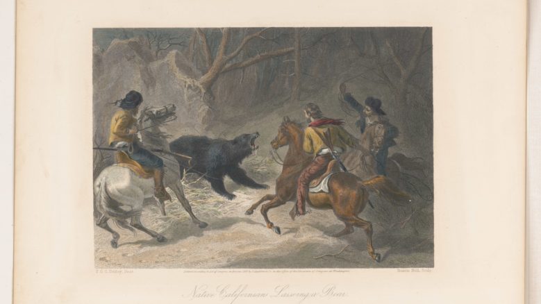 Illustration of Native Californians lassoing a bear, from the Library of Congress Prints and Photographs Division
