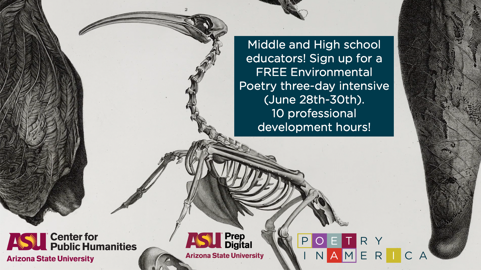 A brochure promoting a free three-day intensive workshop in Envrionemntal Poetry for middle and high-school educators, offering 10 professional development hours, pictured: a black and white illustration of fossils including a bird.